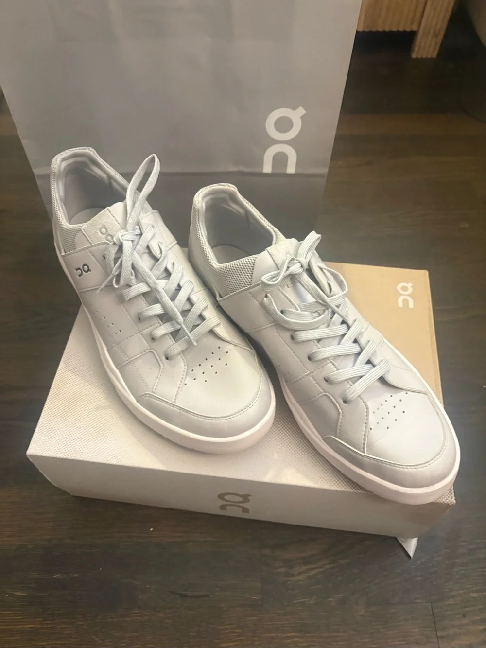 On cloud the Roger 11.5 Sneakers in light grey Swiss engering